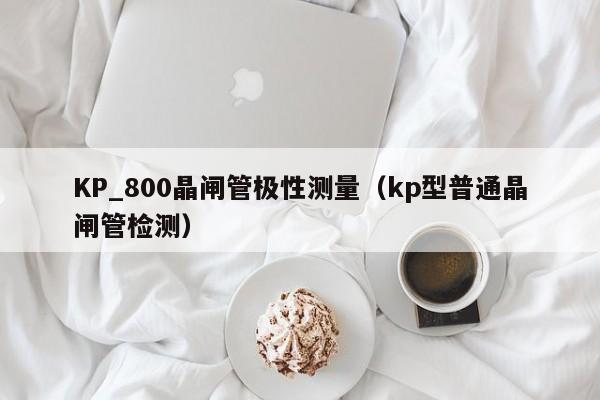 KP_800晶闸管极性测量（kp型普通晶闸管检测）-第1张图片-bevictor伟德官网-bv伟德源自英国始于1946